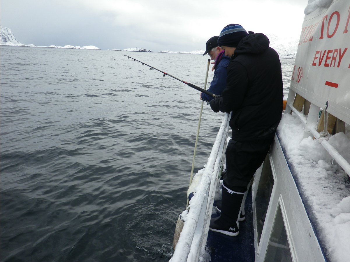 Cod Fishing21
